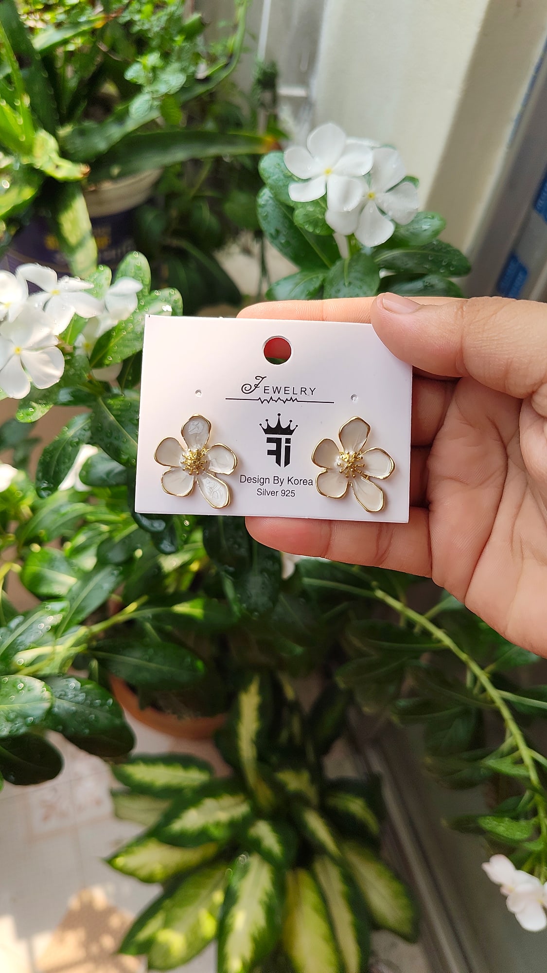 Earrings